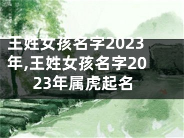 王姓女孩名字2023年,王姓女孩名字2023年属虎起名