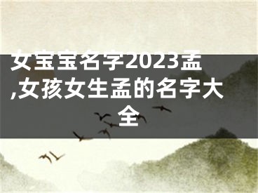 女宝宝名字2023孟,女孩女生孟的名字大全