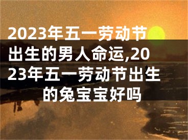 2023年五一劳动节出生的男人命运,2023年五一劳动节出生的兔宝宝好吗