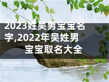 2023姓吴男宝宝名字,2022年吴姓男宝宝取名大全