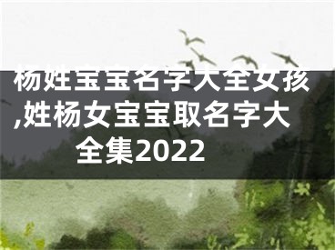 杨姓宝宝名字大全女孩,姓杨女宝宝取名字大全集2022