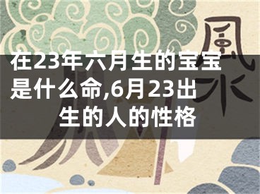 在23年六月生的宝宝是什么命,6月23出生的人的性格