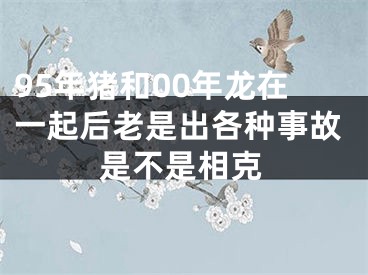 95年猪和00年龙在一起后老是出各种事故是不是相克