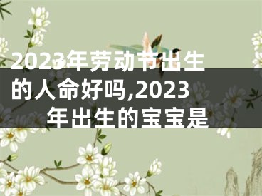 2023年劳动节出生的人命好吗,2023年出生的宝宝是