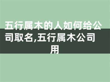 五行属木的人如何给公司取名,五行属木公司用