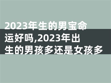 2023年生的男宝命运好吗,2023年出生的男孩多还是女孩多