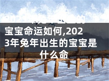 2023年兔年出生的宝宝命运如何,2023年兔年出生的宝宝是什么命