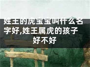 姓王的虎宝宝叫什么名字好,姓王属虎的孩子好不好