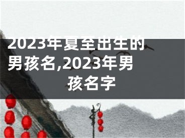 2023年夏至出生的男孩名,2023年男孩名字