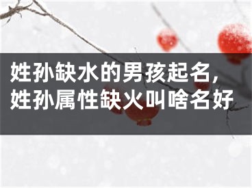 姓孙缺水的男孩起名,姓孙属性缺火叫啥名好