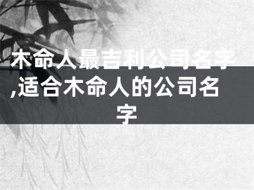 木命人最吉利公司名字,适合木命人的公司名字