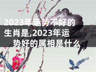 2023年运势不好的生肖是,2023年运势好的属相是什么