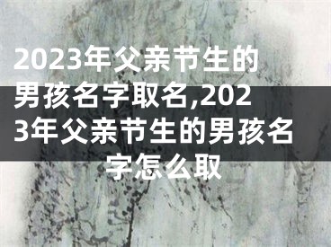 2023年父亲节生的男孩名字取名,2023年父亲节生的男孩名字怎么取