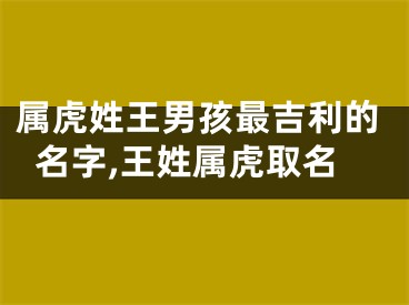 属虎姓王男孩最吉利的名字,王姓属虎取名