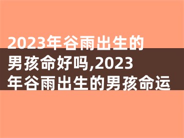 2023年谷雨出生的男孩命好吗,2023年谷雨出生的男孩命运