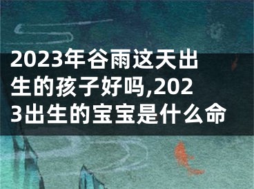 2023年谷雨这天出生的孩子好吗,2023出生的宝宝是什么命