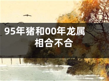 95年猪和00年龙属相合不合