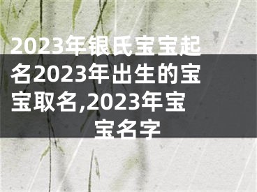 2023年银氏宝宝起名2023年出生的宝宝取名,2023年宝宝名字