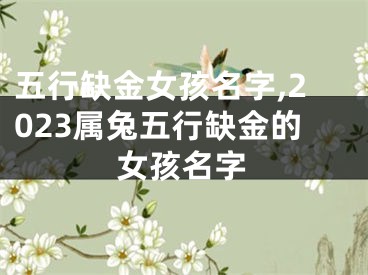 五行缺金女孩名字,2023属兔五行缺金的女孩名字