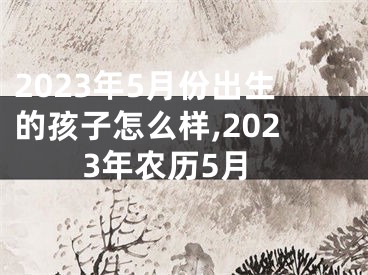 2023年5月份出生的孩子怎么样,2023年农历5月