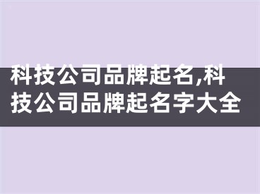 科技公司品牌起名,科技公司品牌起名字大全