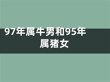 97年属牛男和95年属猪女