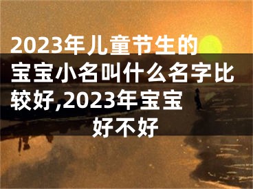 2023年儿童节生的宝宝小名叫什么名字比较好,2023年宝宝好不好