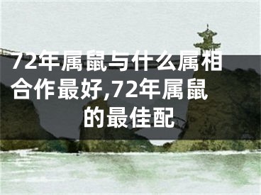 72年属鼠与什么属相合作最好,72年属鼠的最佳配