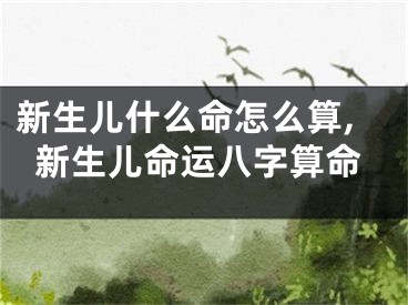 新生儿什么命怎么算,新生儿命运八字算命