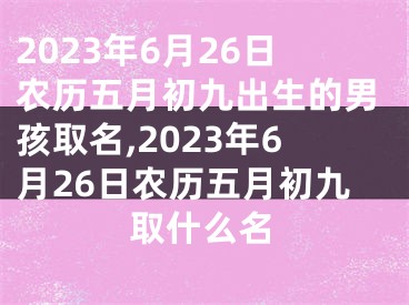 2023年6月26日农历五月初九出生的男孩取名,2023年6月26日农历五月初九取什么名