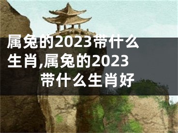 属兔的2023带什么生肖,属兔的2023带什么生肖好