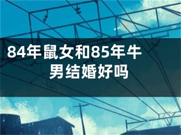 84年鼠女和85年牛男结婚好吗