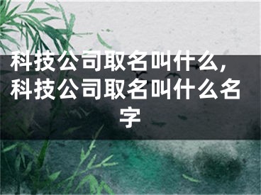 科技公司取名叫什么,科技公司取名叫什么名字