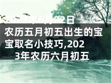 2023年6月22日农历五月初五出生的宝宝取名小技巧,2023年农历六月初五