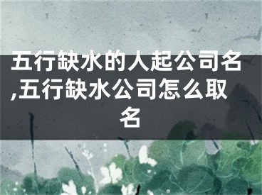 五行缺水的人起公司名,五行缺水公司怎么取名