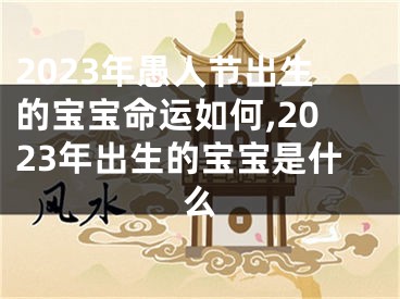 2023年愚人节出生的宝宝命运如何,2023年出生的宝宝是什么