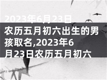 2023年6月23日农历五月初六出生的男孩取名,2023年6月23日农历五月初六