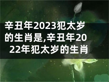 辛丑年2023犯太岁的生肖是,辛丑年2022年犯太岁的生肖