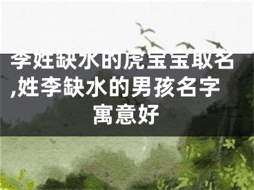 李姓缺水的虎宝宝取名,姓李缺水的男孩名字寓意好