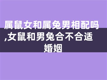 属鼠女和属兔男相配吗,女鼠和男兔合不合适婚姻