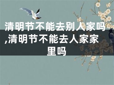 清明节不能去别人家吗,清明节不能去人家家里吗