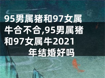 95男属猪和97女属牛合不合,95男属猪和97女属牛2021年结婚好吗