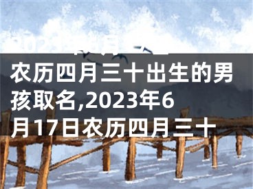 2023年6月17日农历四月三十出生的男孩取名,2023年6月17日农历四月三十