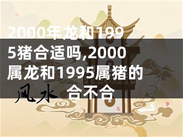 2000年龙和1995猪合适吗,2000属龙和1995属猪的合不合