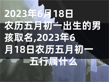 2023年6月18日农历五月初一出生的男孩取名,2023年6月18日农历五月初一五行属什么