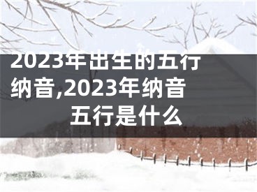 2023年出生的五行纳音,2023年纳音五行是什么