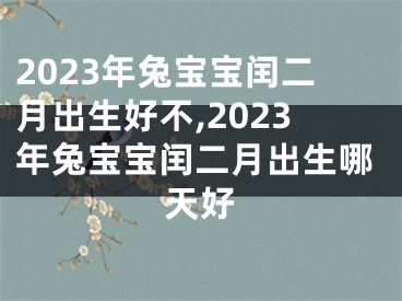 2023年兔宝宝闰二月出生好不,2023年兔宝宝闰二月出生哪天好