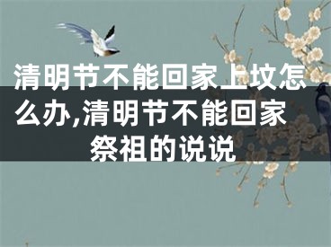 清明节不能回家上坟怎么办,清明节不能回家祭祖的说说