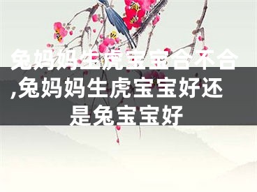 兔妈妈生虎宝宝合不合,兔妈妈生虎宝宝好还是兔宝宝好