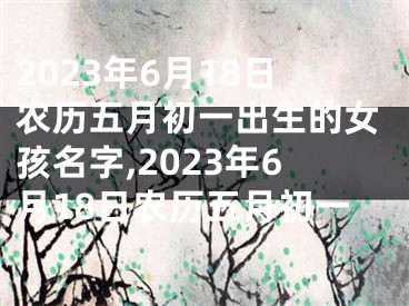 2023年6月18日农历五月初一出生的女孩名字,2023年6月18日农历五月初一